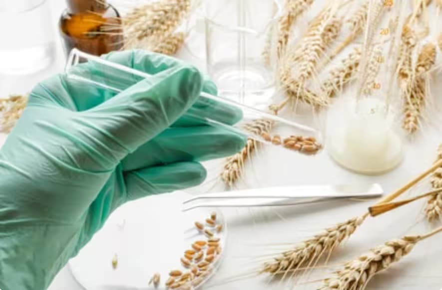 Zero Compromise On Purity